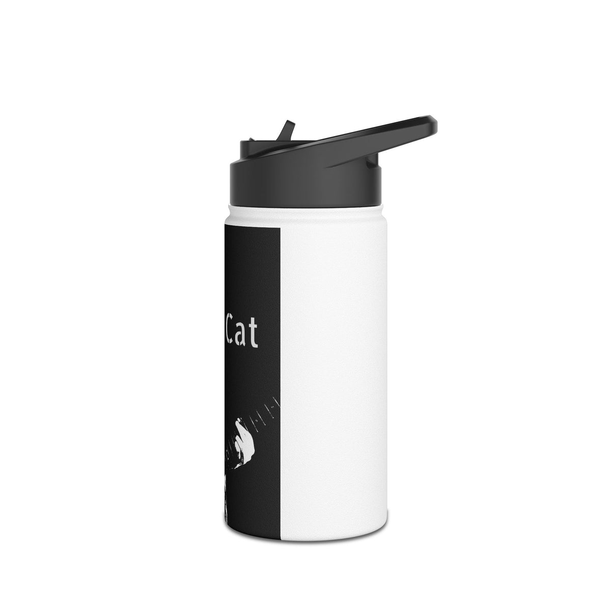 Stainless Steel Water Bottle, Standard Lid