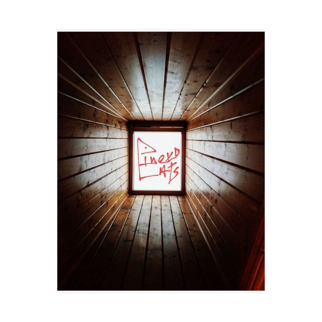 Satin Posters (210gsm)